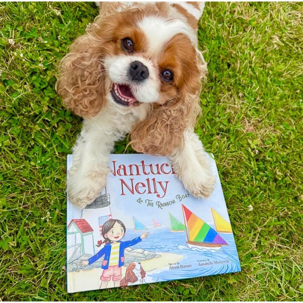 Nantucket Nelly and the Rainbow Boat Race|10465