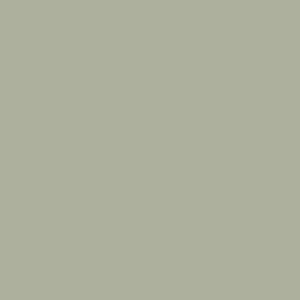 Ribbed Long Sleeve Sage|11872