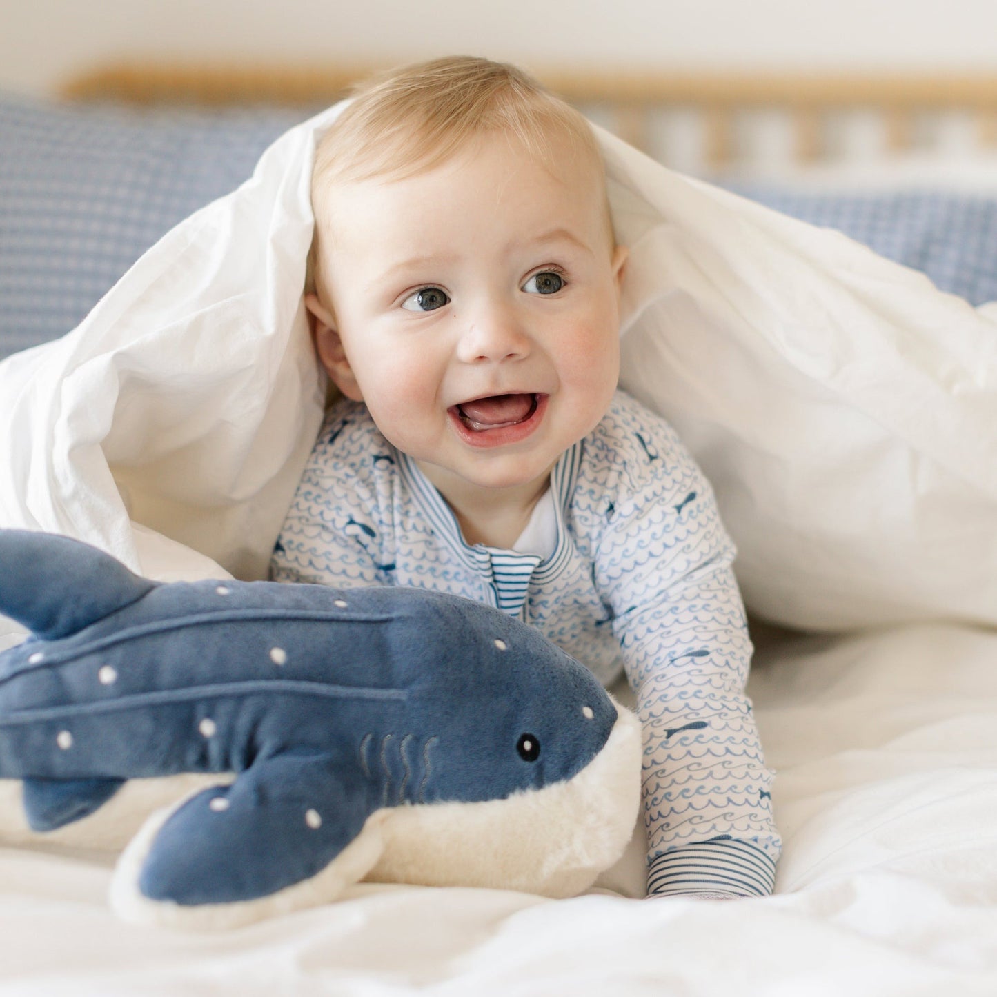 Sharks Shortie Romper