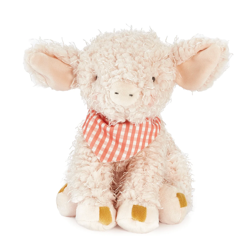 Little Hammie the Pig