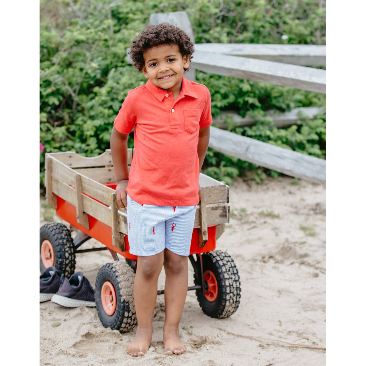 Blue Seersucker Shorts with Red Lobsters|3143
