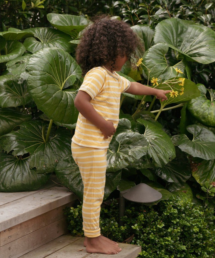 Andy Baby Legging, Yellow Stripe|9519
