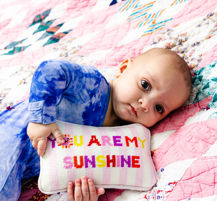 You Are My Sunshine Mini Needlepoint Pillow|13536