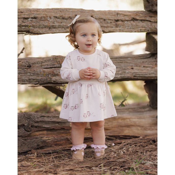 Raglan Dress Owls