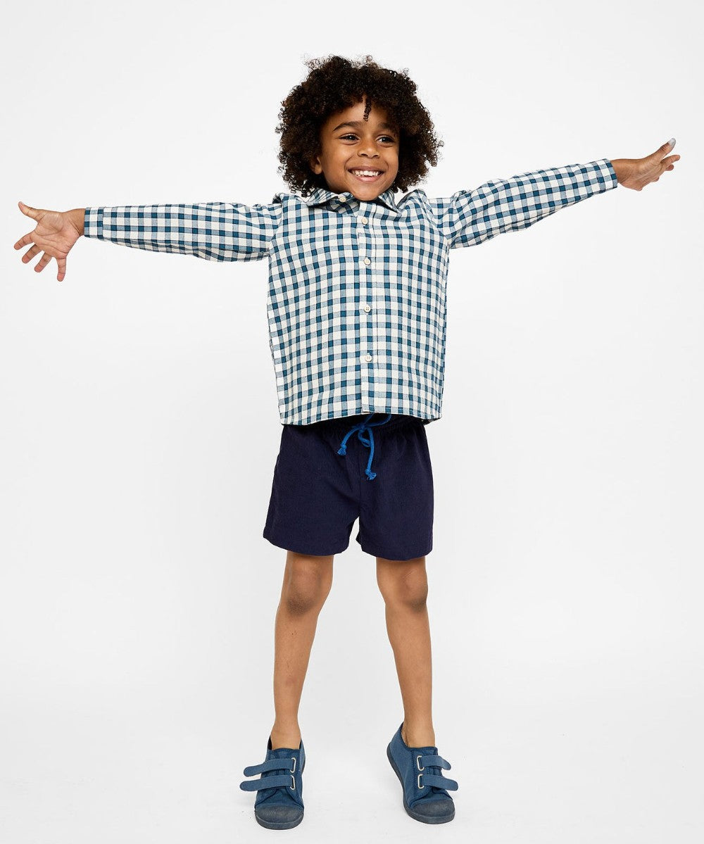 Jeffie Shirt, Blue Picnic Check|9053