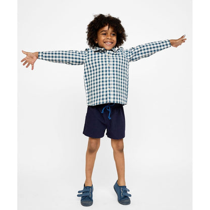 Jeffie Shirt, Blue Picnic Check|9053