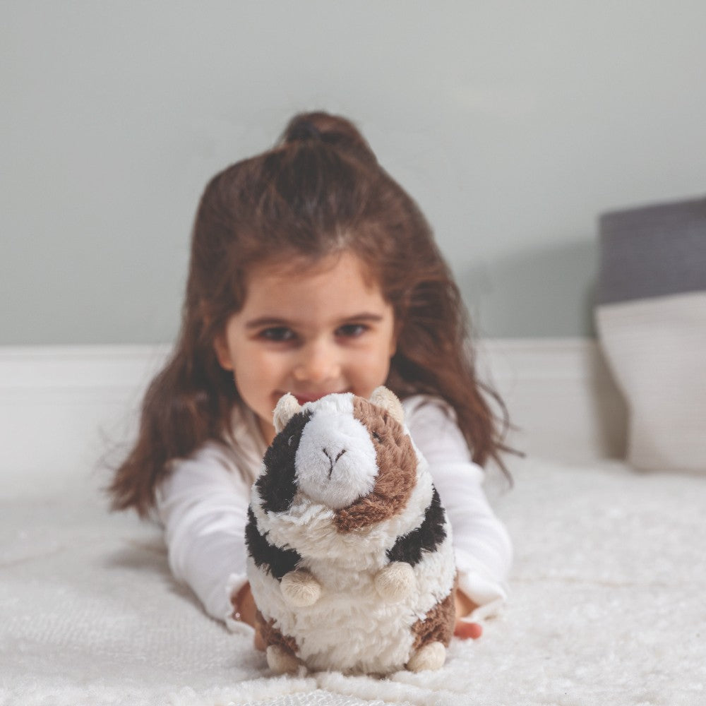 Putty Gizmo Guinea Pig|12184