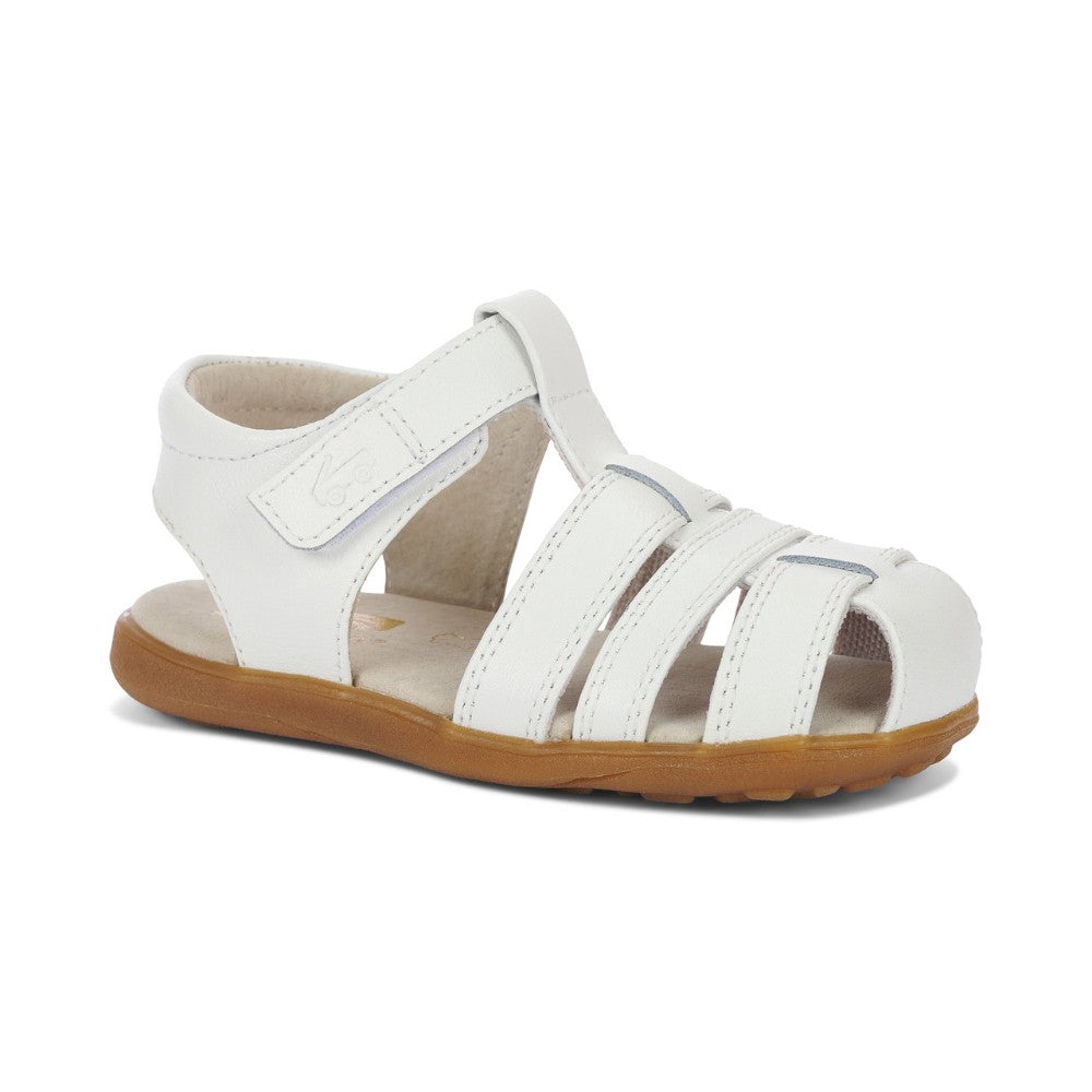 Gloria V White|11617