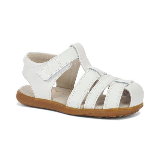 Gloria V White|11617