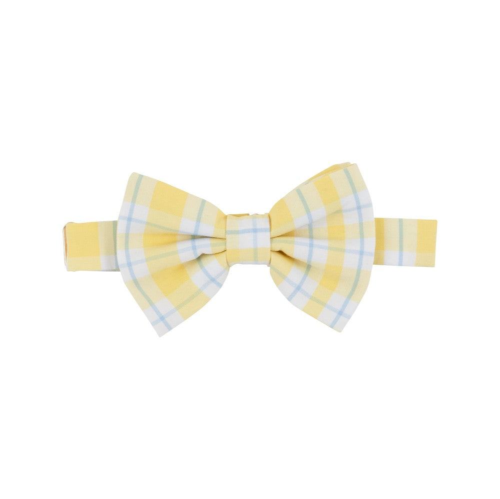 Baylor Bowtie|10713