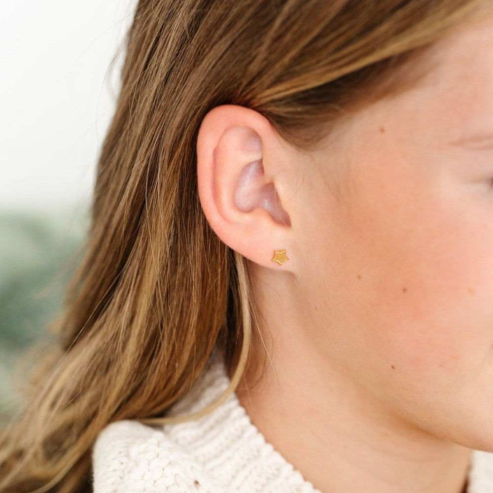 Beaded Star Earrings|11051