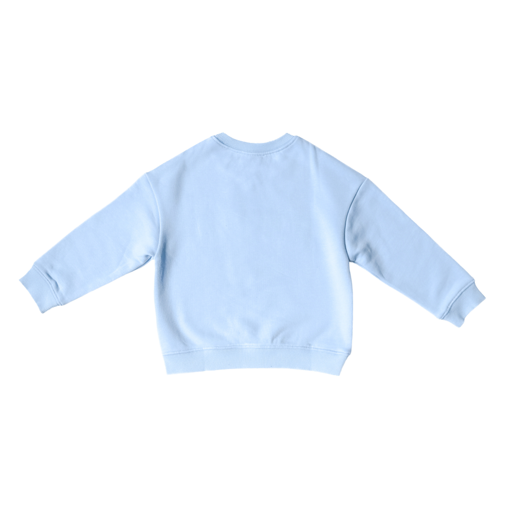 Lil Bro Sweatshirt|8017