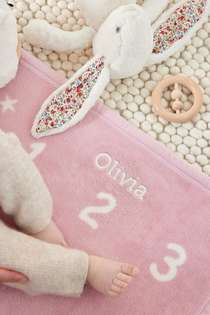 Blush Milestone Mini Blanket|10232