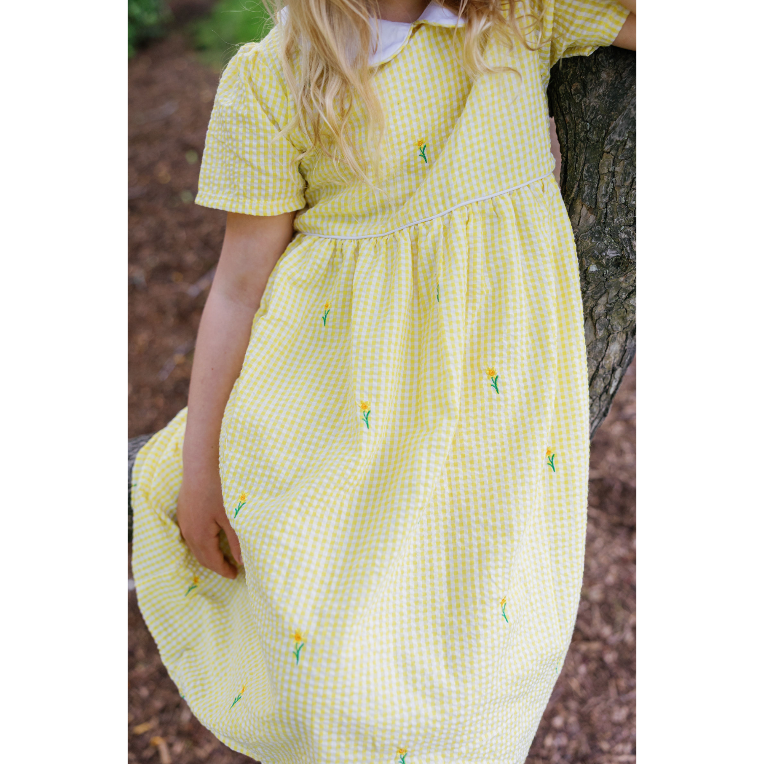 Yellow Gingham Daffodil Dress with Peter Pan Collar|10048