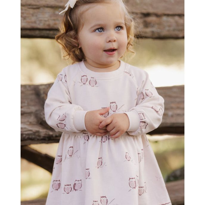Raglan Dress Owls