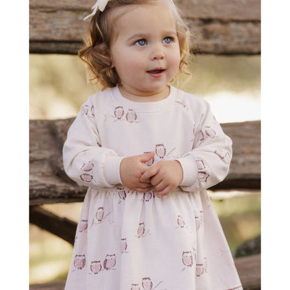 Raglan Dress Owls