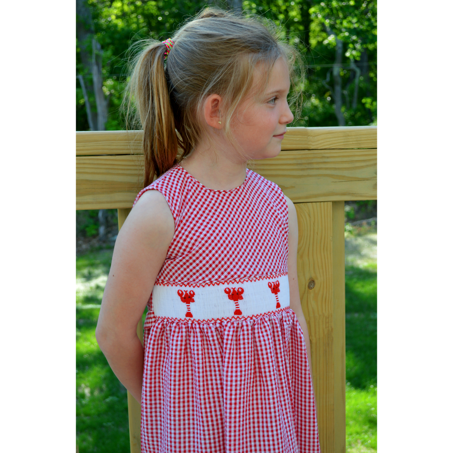 Lobster Seersucker Dress Red|11593