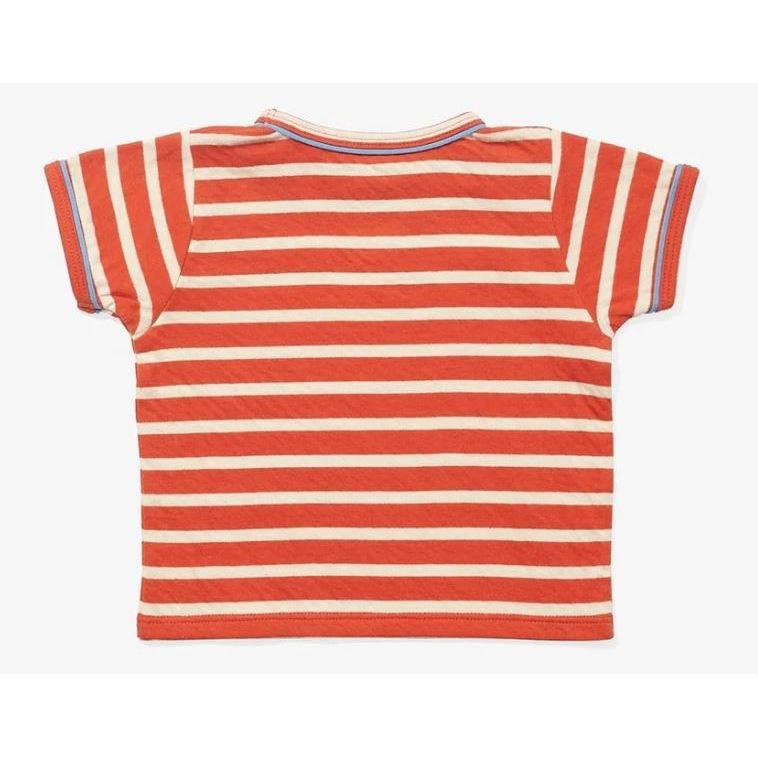 Willie Baby T-Shirt Red Stripe|3437
