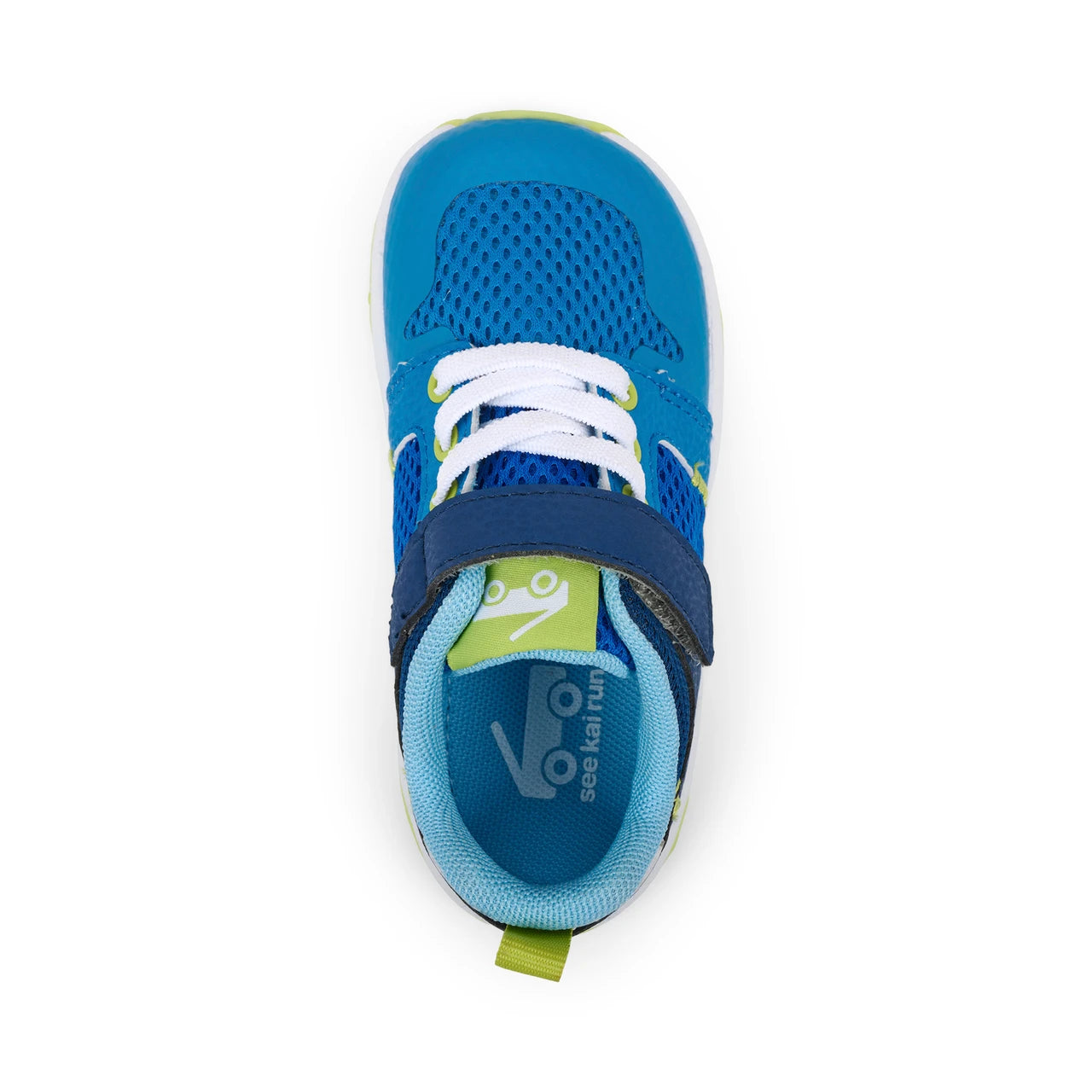 Viento Bold Blue
