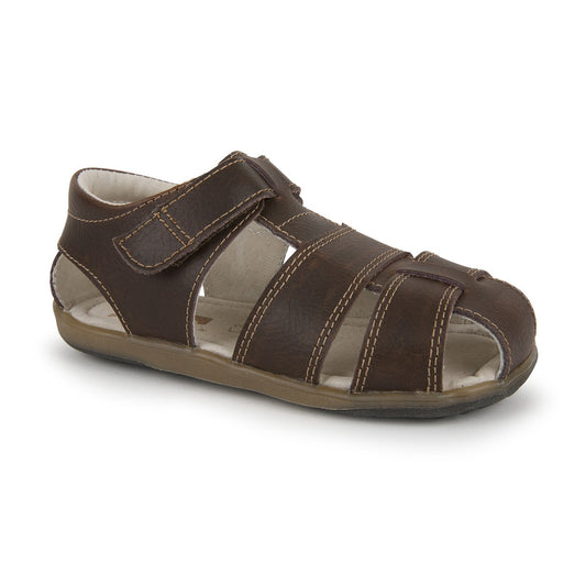 Jude IV Brown Shoes