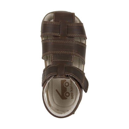 Jude IV Brown Shoes