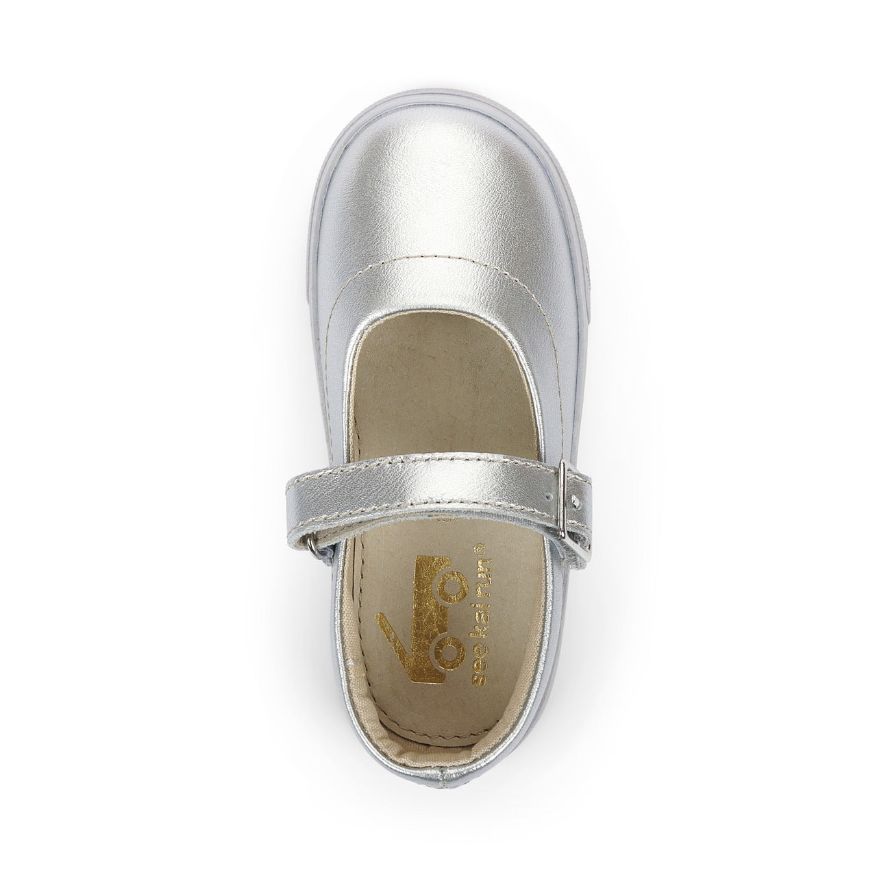 Lucia Silver Mary Jane Flats