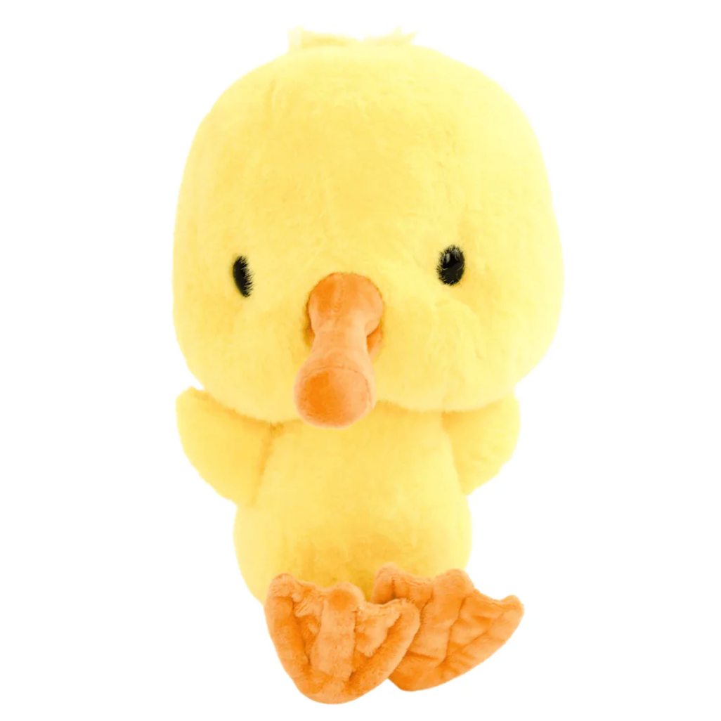Ack! The Nantucket Duckling Gift Set