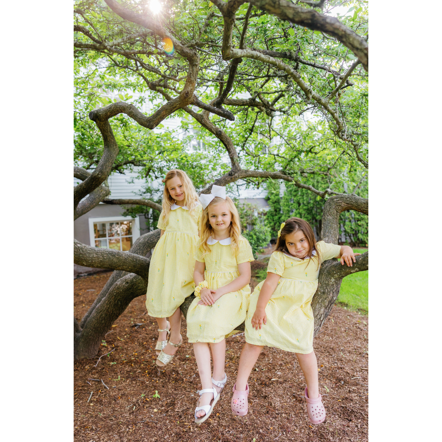 Yellow Gingham Daffodil Dress with Peter Pan Collar|10047