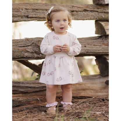 Raglan Dress Owls