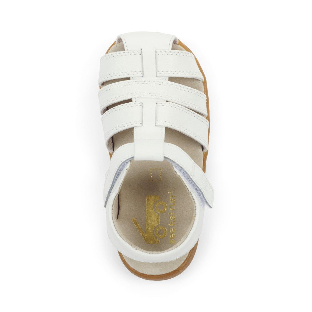 Gloria V White|11619