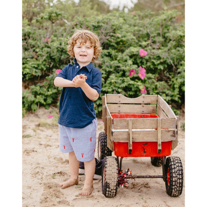 Blue Seersucker Shorts with Red Lobsters|3142
