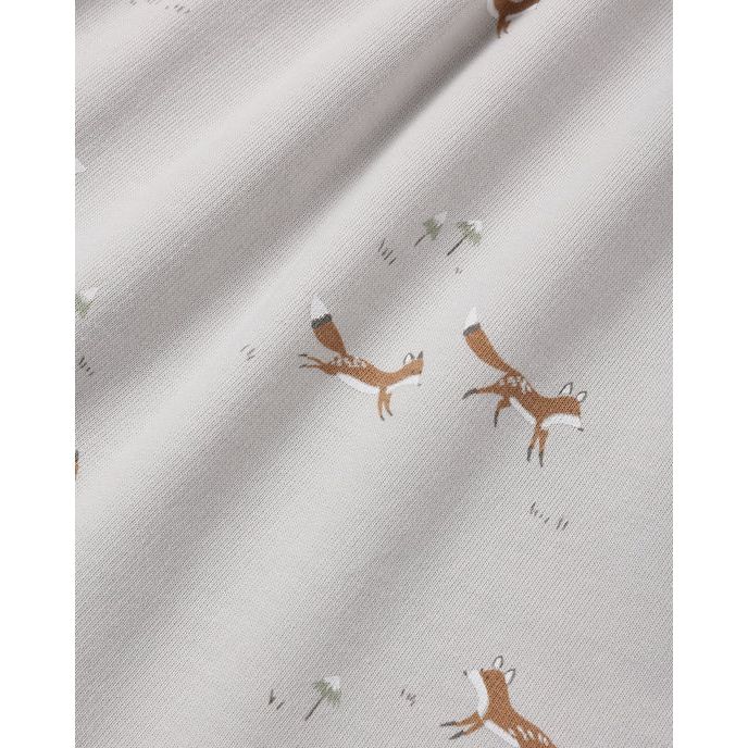 Raglan Dress Foxes
