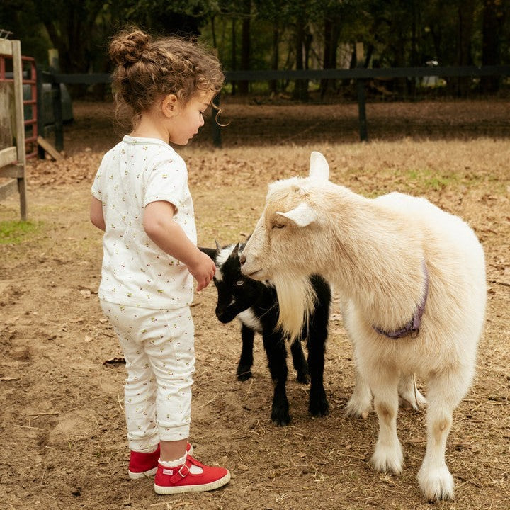 Andy Baby Legging, Cherry Pie|6484